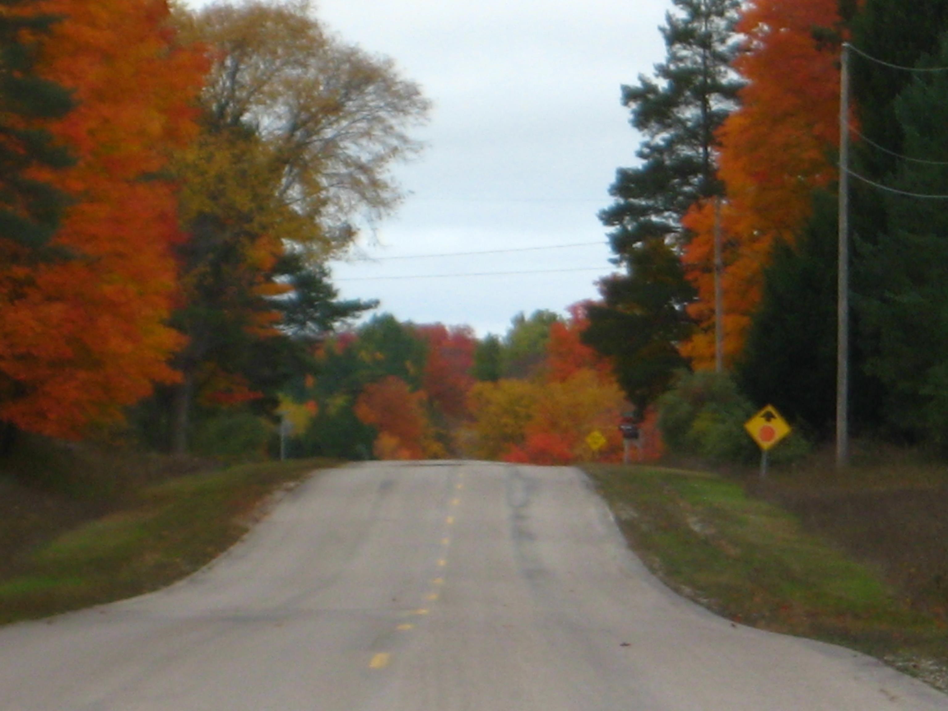 75-acres East Kasson Road Maple City, MI 49664 - Photo 11 of 15 Gallery Image 11
