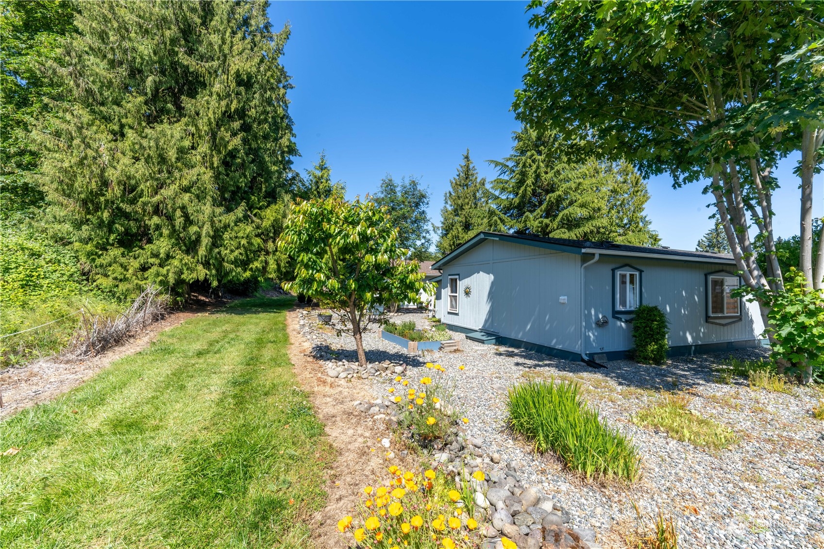 320 Fircrest Drive Sequim, WA 98382 - Photo 21 of 25 a backyard of a house with yard and trampoline