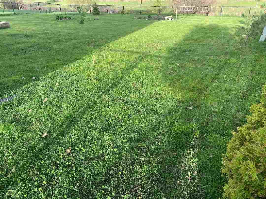 53795 Orson Road New Baltimore, MI 48047 - Photo 33 of 33