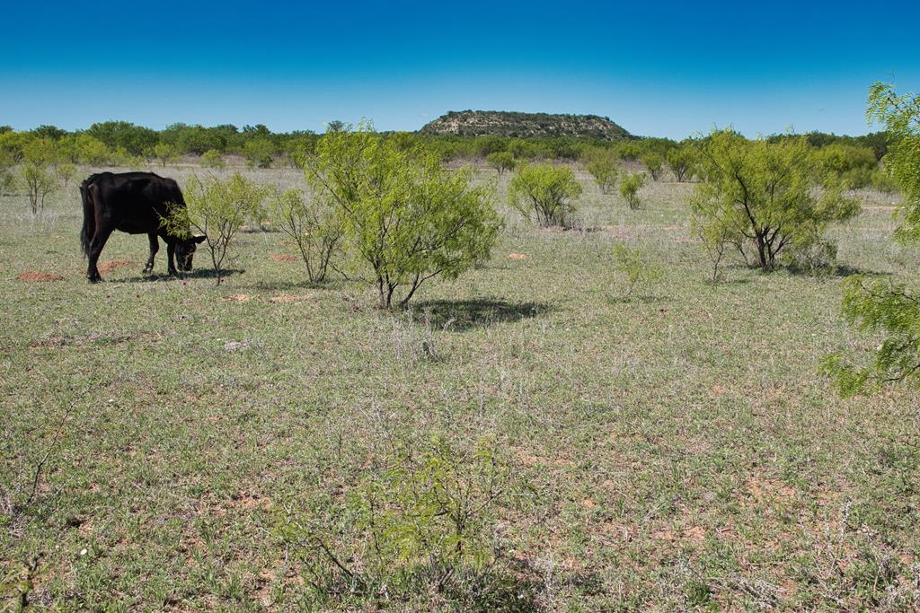 2303 Streeter Lane Mason, TX 76856 - Photo 14 of 20 a view of a large mountain with a mountain in the background