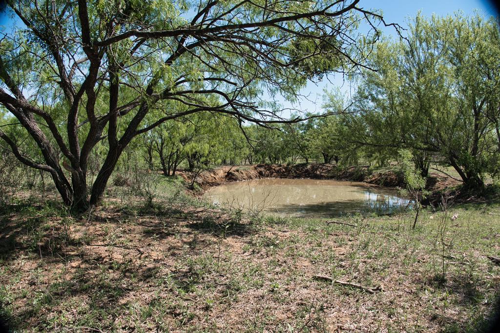 2303 Streeter Lane Mason, TX 76856 - Photo 17 of 20 a view of a lake with a tree