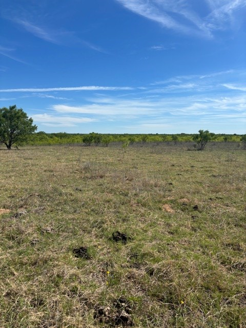 2303 Streeter Lane Mason, TX 76856 - Photo 7 of 20 a view of an ocean