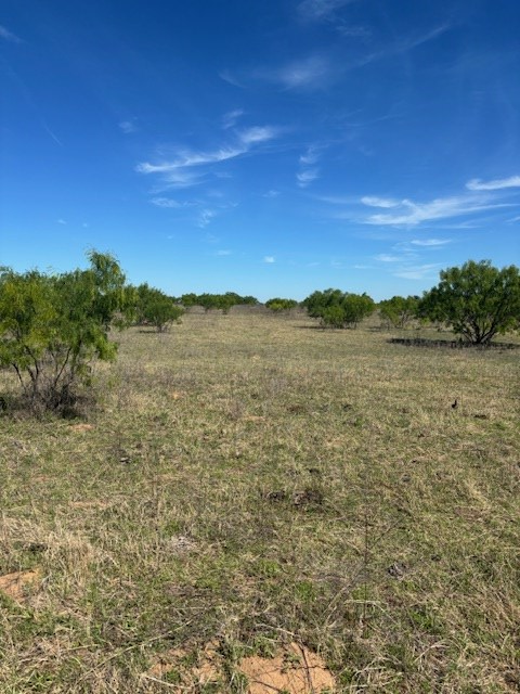 2303 Streeter Lane Mason, TX 76856 - Photo 8 of 20