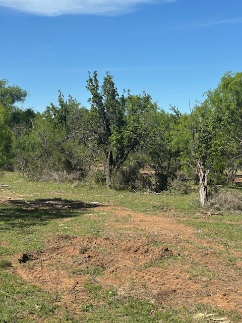 2303 Streeter Lane Mason, TX 76856 - Photo 9 of 20 a view of a yard with an trees