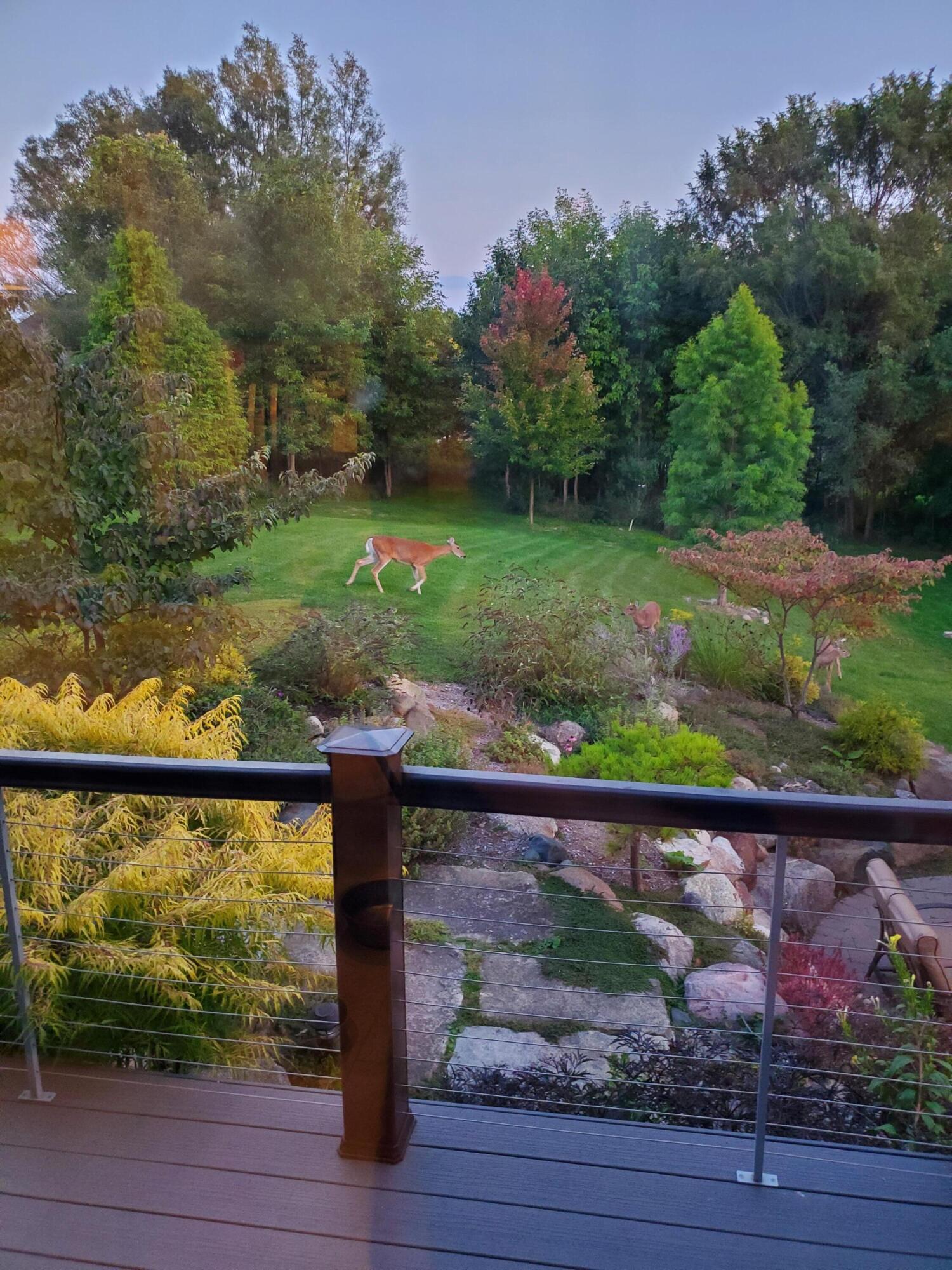 451 Oak Arbor Circle East Rochester, MI 48306 - Photo 33 of 42 20200922_192624