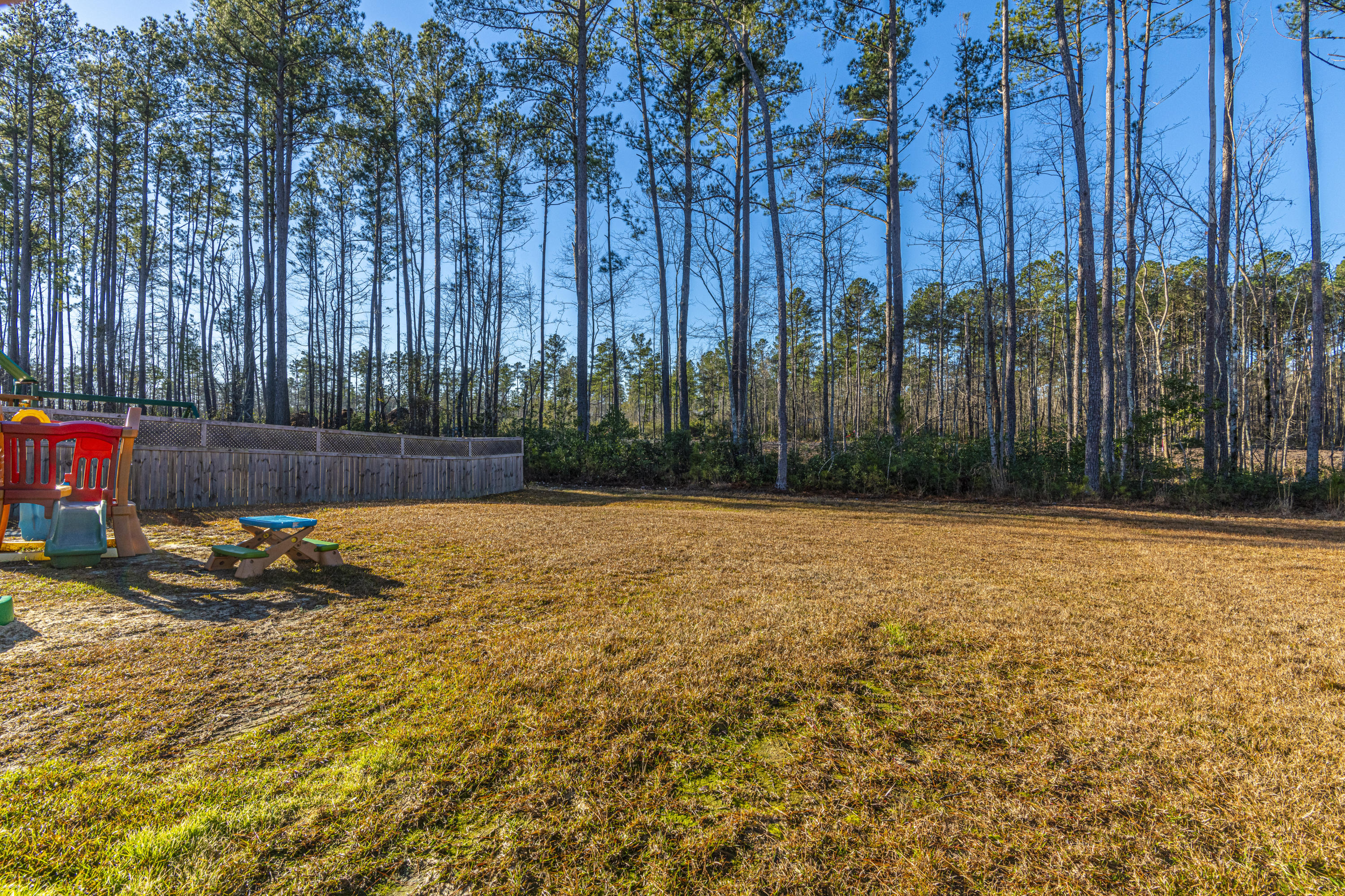 237 Spectrum Road Summerville, SC 29486 - Photo 34 of 36 DSC_7140