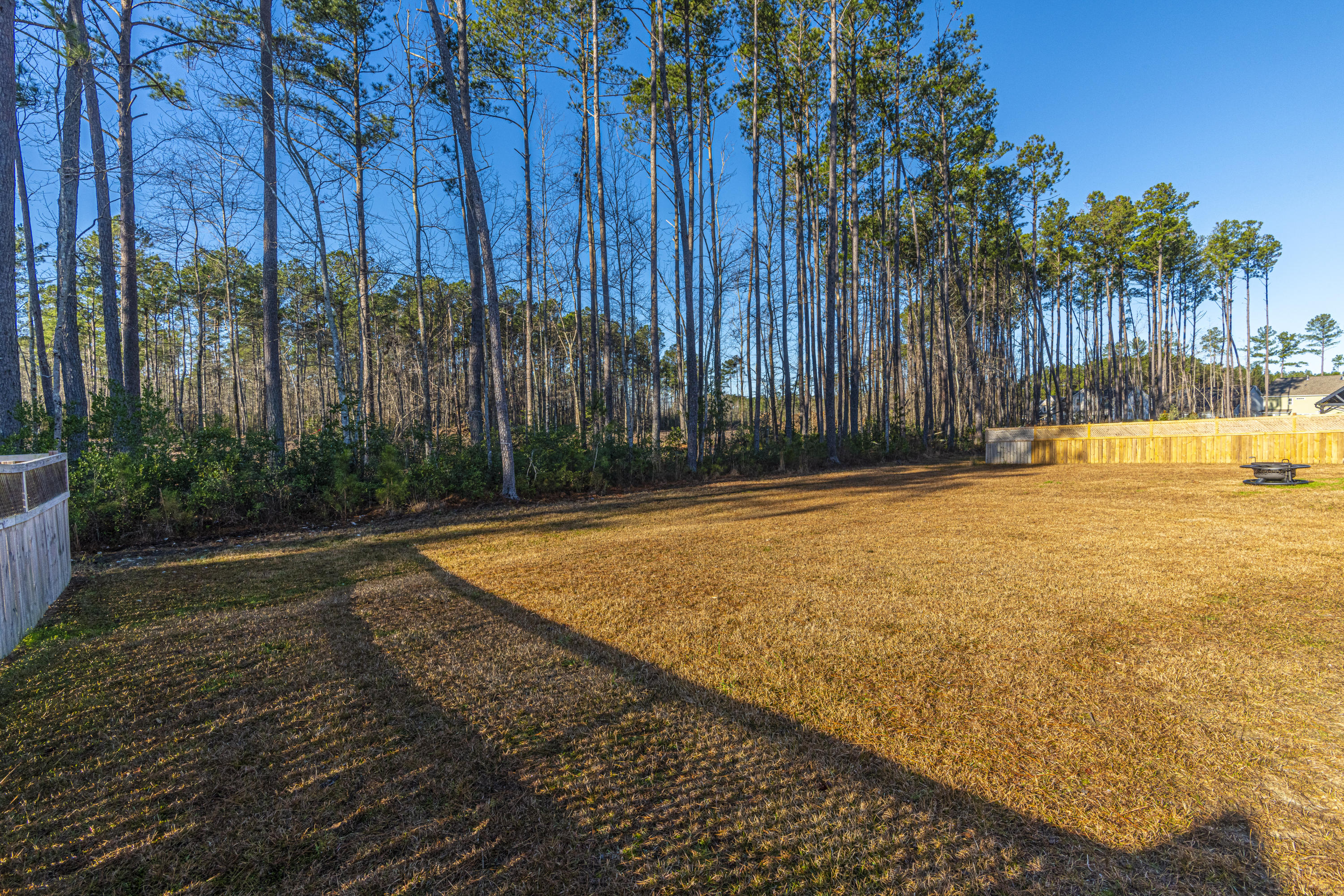 237 Spectrum Road Summerville, SC 29486 - Photo 36 of 36 DSC_7143