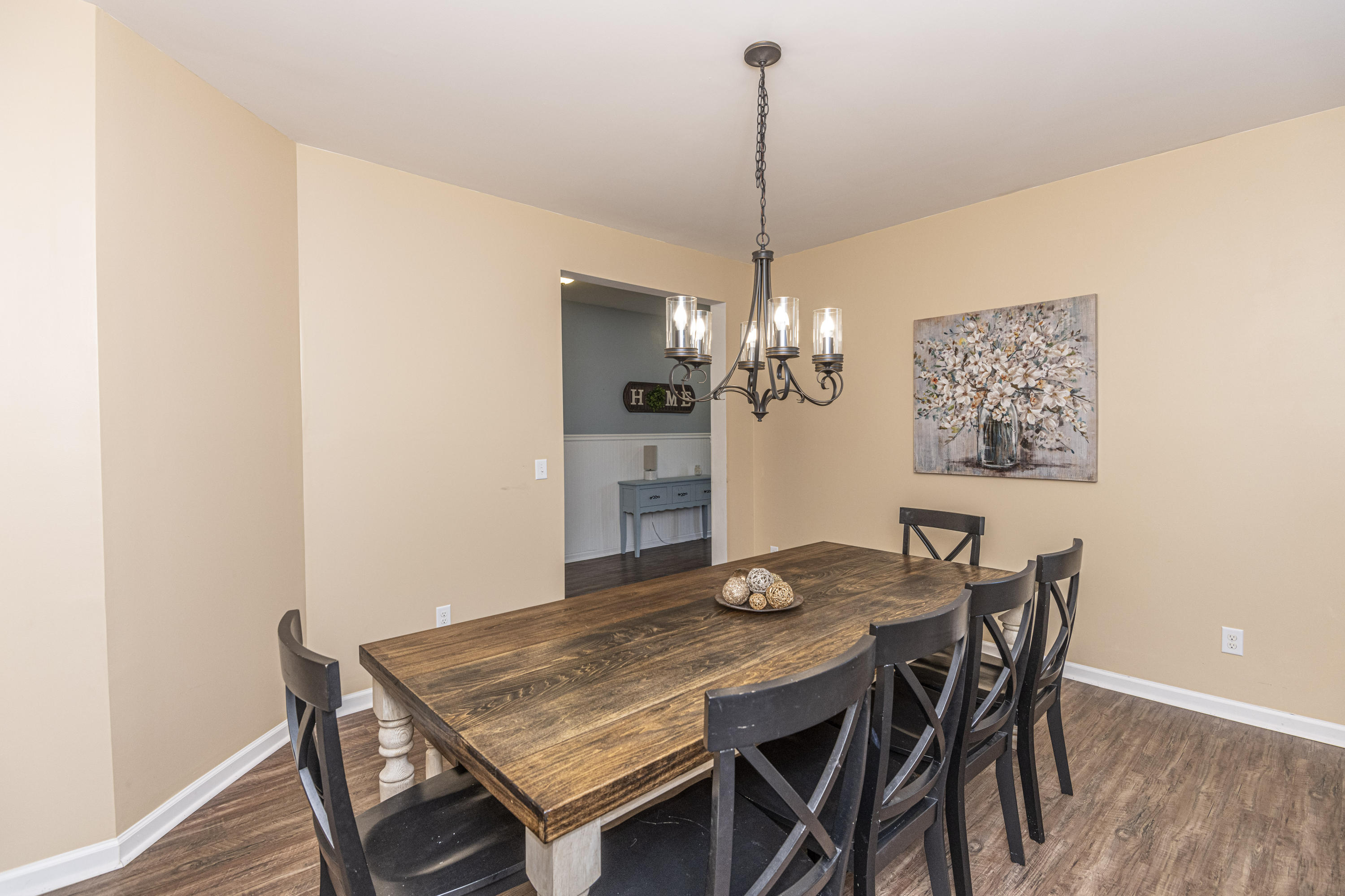 237 Spectrum Road Summerville, SC 29486 - Photo 8 of 36 DSC_7097