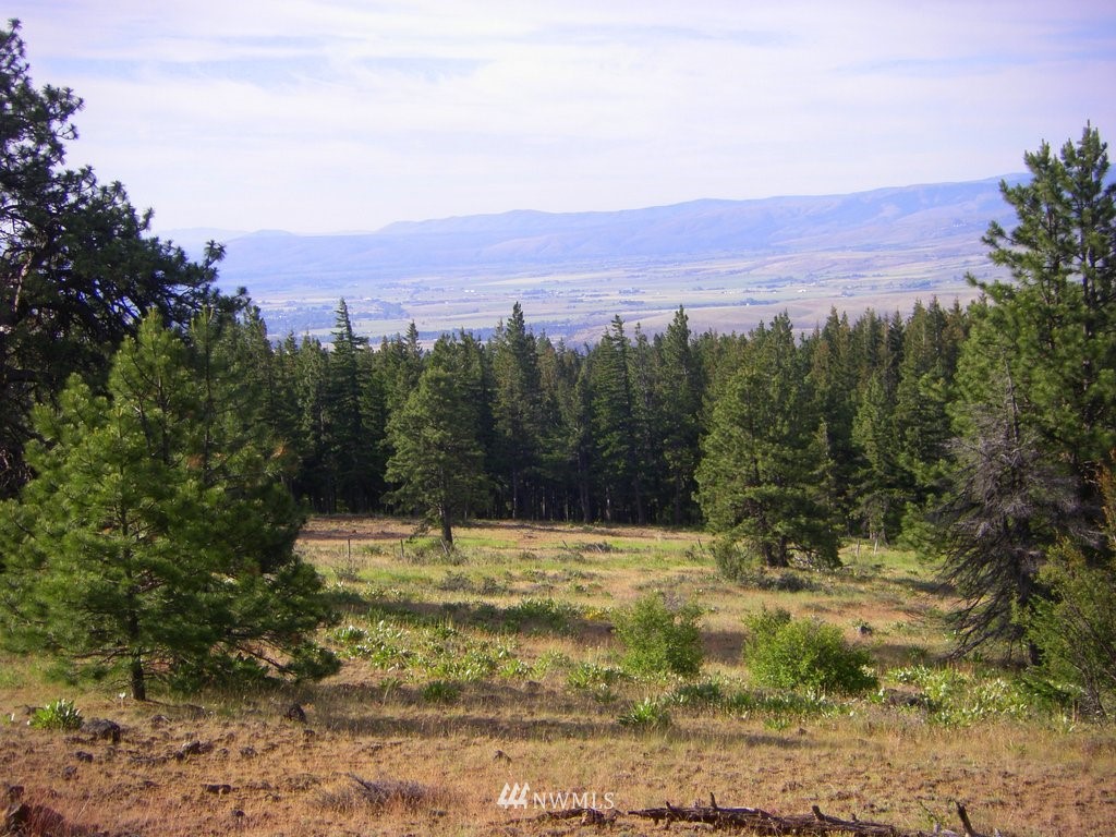 36-xx Emerick Road Cle Elum, WA 98922 - Photo 1 of 1 Gallery Image 1