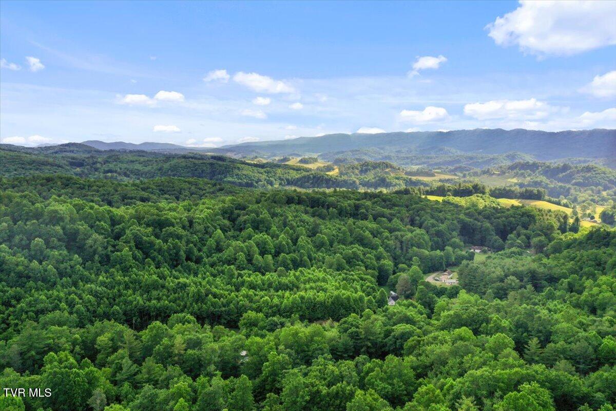 1258 Hawkins Road Laurel Bloomery, TN 37680 - Photo 22 of 29 22-DJI_0232