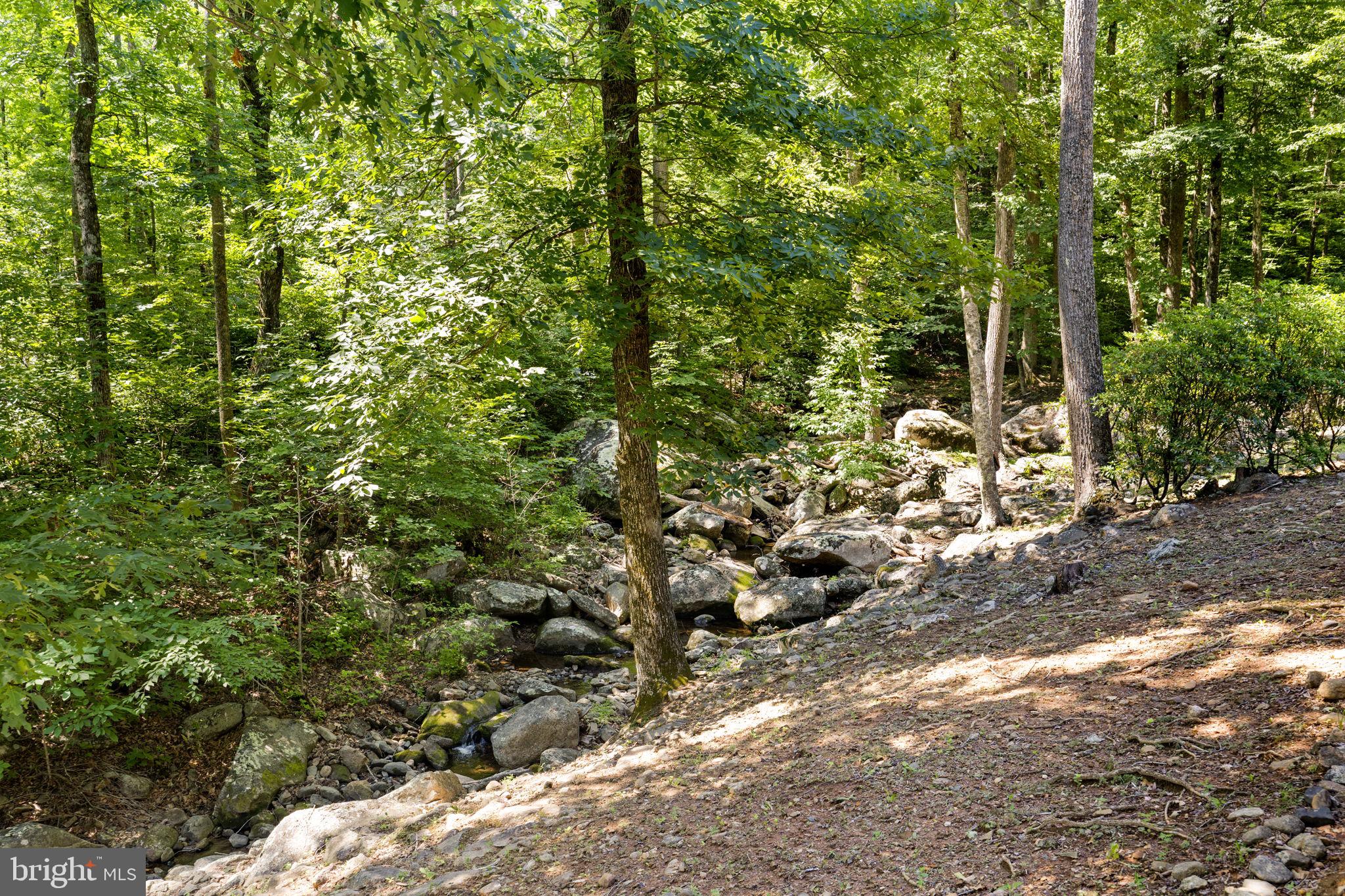1319 Champe Plain Road Etlan, VA 22719 - Photo 50 of 63