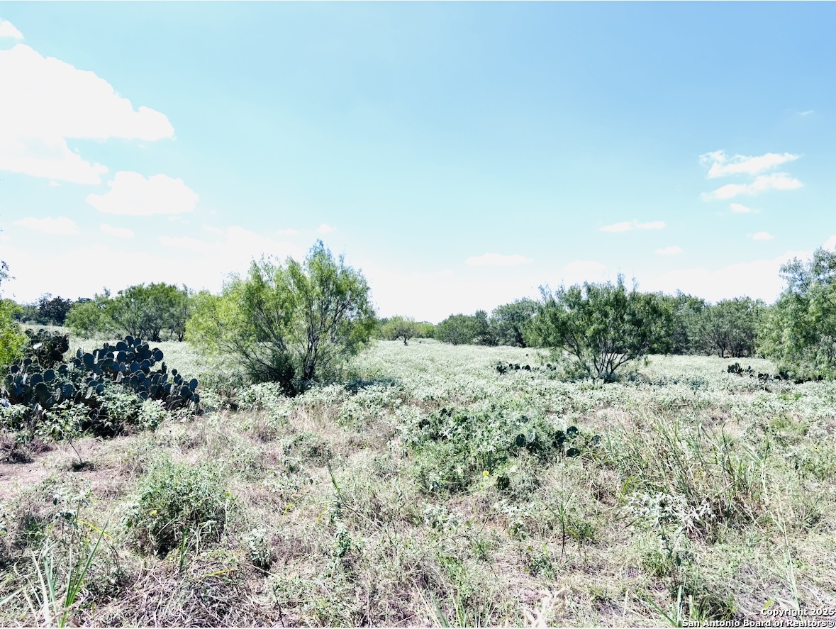 0 North State Highway 16 Jourdanton, TX 78026 - Photo 1 of 21 a view of a dry yard