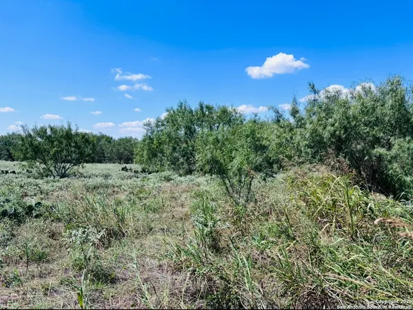 $250,000 | 0 North State Highway 16, Jourdanton, TX 78026