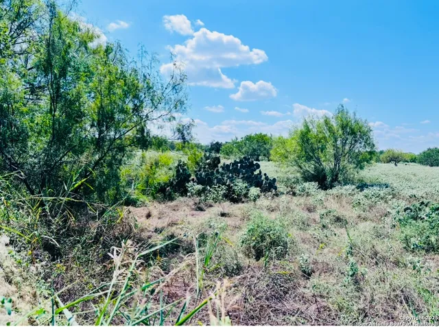 $250,000 | 0 North State Highway 16, Jourdanton, TX 78026