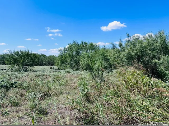$250,000 | 0 North State Highway 16, Jourdanton, TX 78026