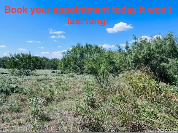 $250,000 | 0 North State Highway 16, Jourdanton, TX 78026