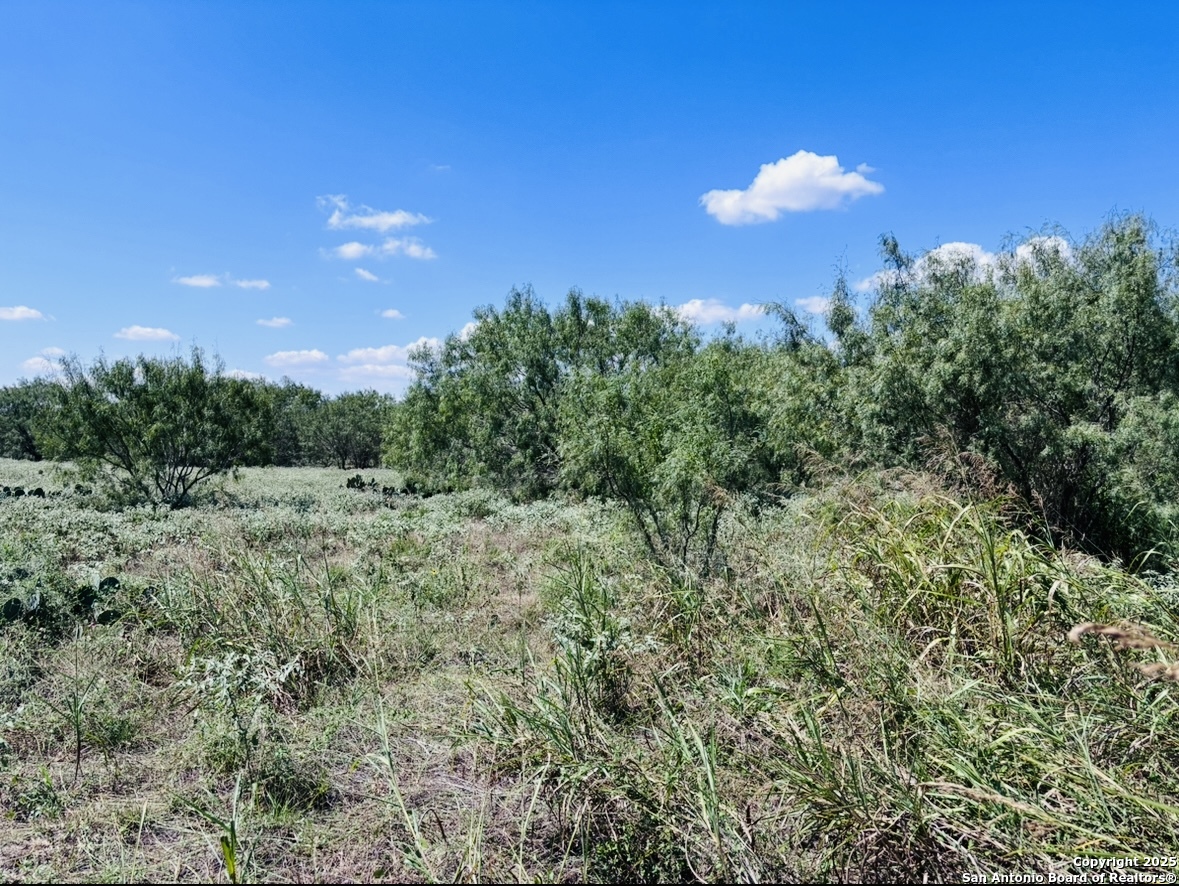 0 North State Highway 16 Jourdanton, TX 78026 - Photo 5 of 21