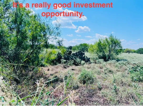 $250,000 | 0 North State Highway 16, Jourdanton, TX 78026