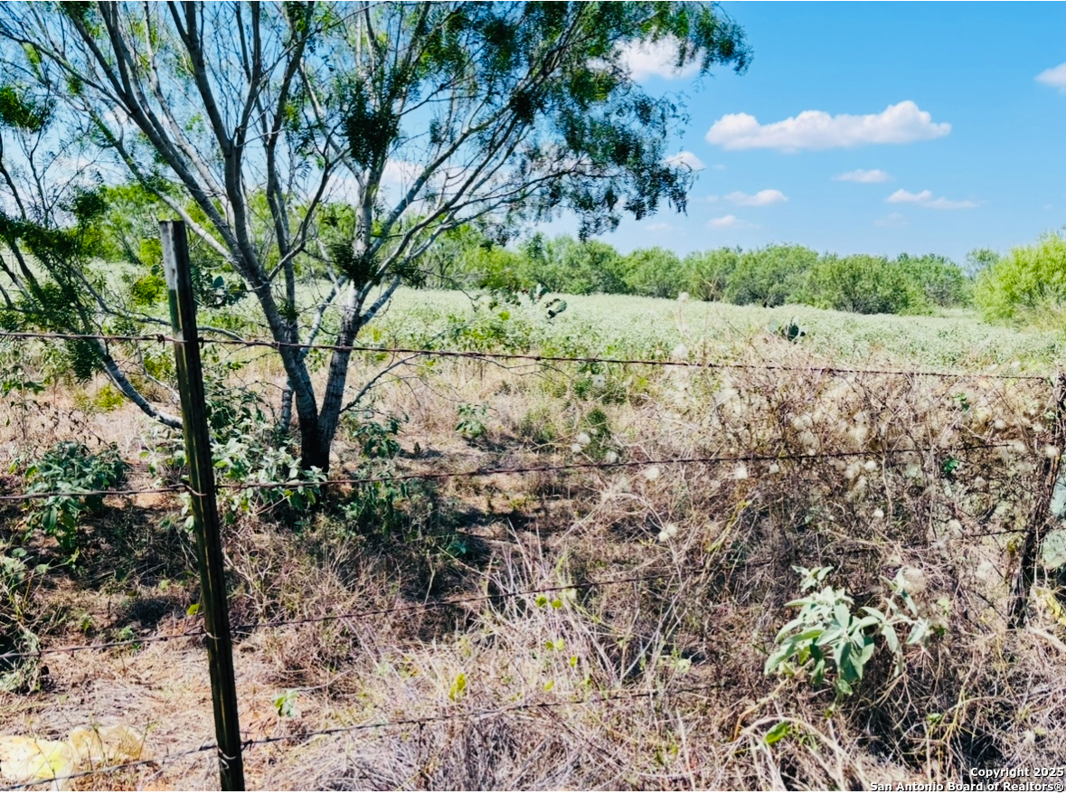0 North State Highway 16 Jourdanton, TX 78026 - Photo 6 of 21 a view of a yard with a tree