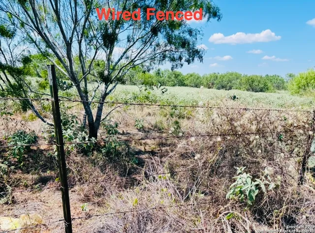 $250,000 | 0 North State Highway 16, Jourdanton, TX 78026