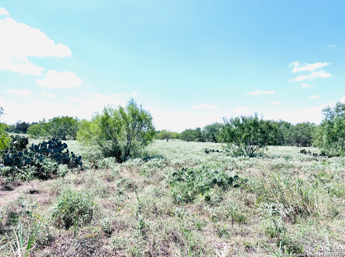 0 North State Highway 16 Jourdanton, TX 78026 - Photo 10 of 21 a view of a dry yard