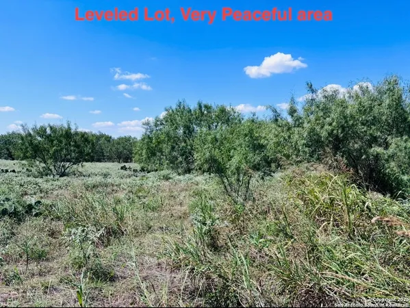 $250,000 | 0 North State Highway 16, Jourdanton, TX 78026