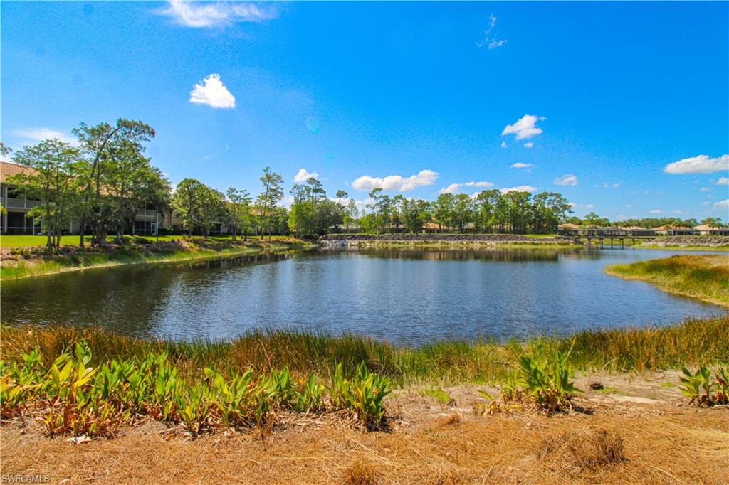 8488 Radcliffe Terrace, Unit 104 Naples, FL 34120 - Photo 3 of 50 a view of a lake with a house in the background