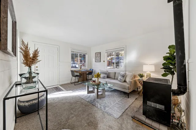a living room with furniture and a potted plant