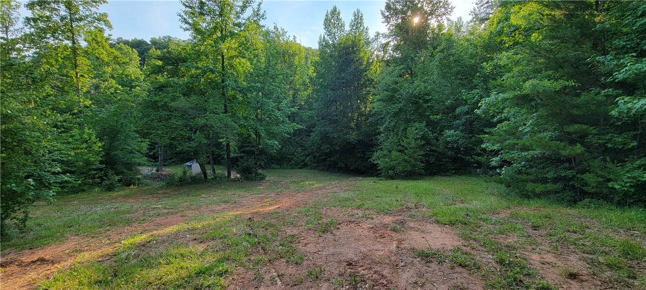 116 Cooper Road Westminster, SC 29693 - Photo 5 of 16 Gallery Image 5