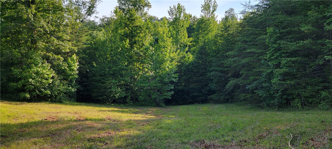 116 Cooper Road Westminster, SC 29693 - Photo 6 of 16 Gallery Image 6