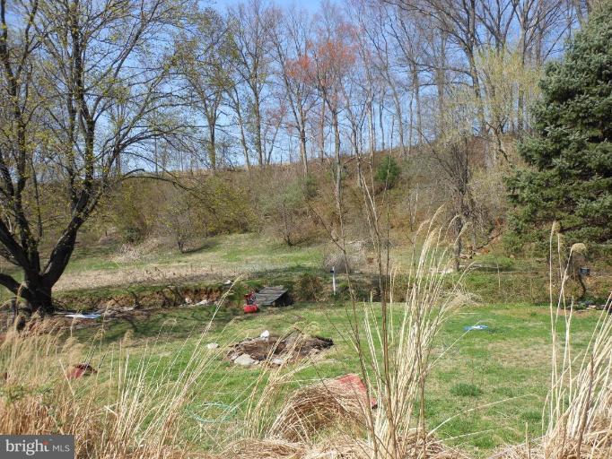 1718 Brooks Road Freeland, MD 21053 - Photo 1 of 7 Back yard
