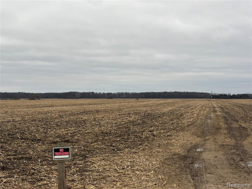 0 South Custer Road Monroe, MI 48161 - Photo 4 of 4 Gallery Image 4