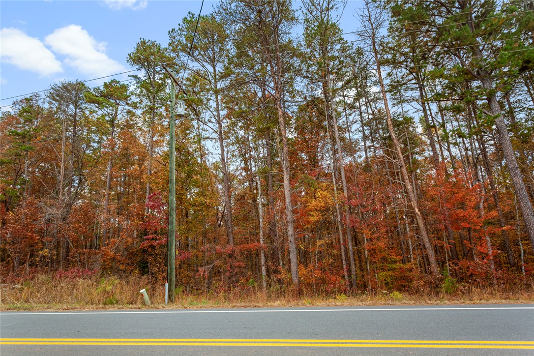 0 Welcome Church Road Westminster, SC 29693 - Photo 15 of 17