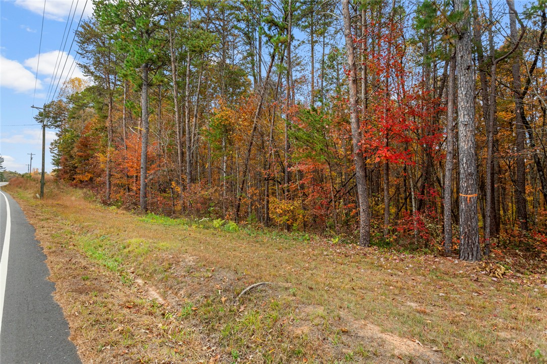 0 Welcome Church Road Westminster, SC 29693 - Photo 16 of 17