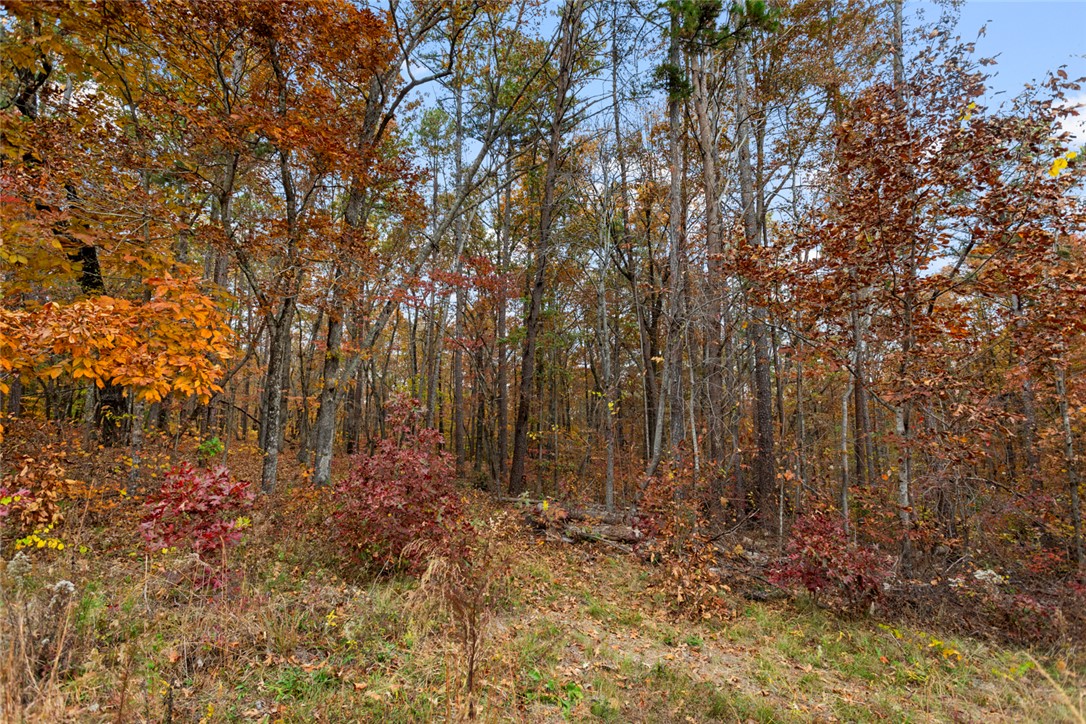 0 Welcome Church Road Westminster, SC 29693 - Photo 2 of 17