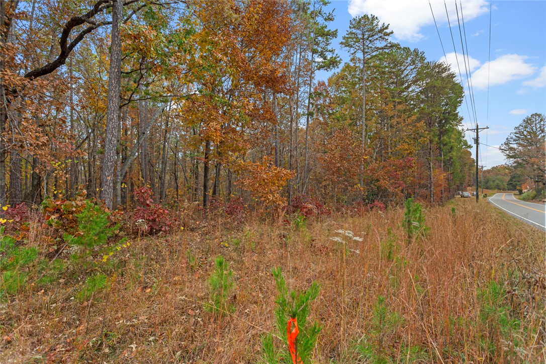 0 Welcome Church Road Westminster, SC 29693 - Photo 4 of 17