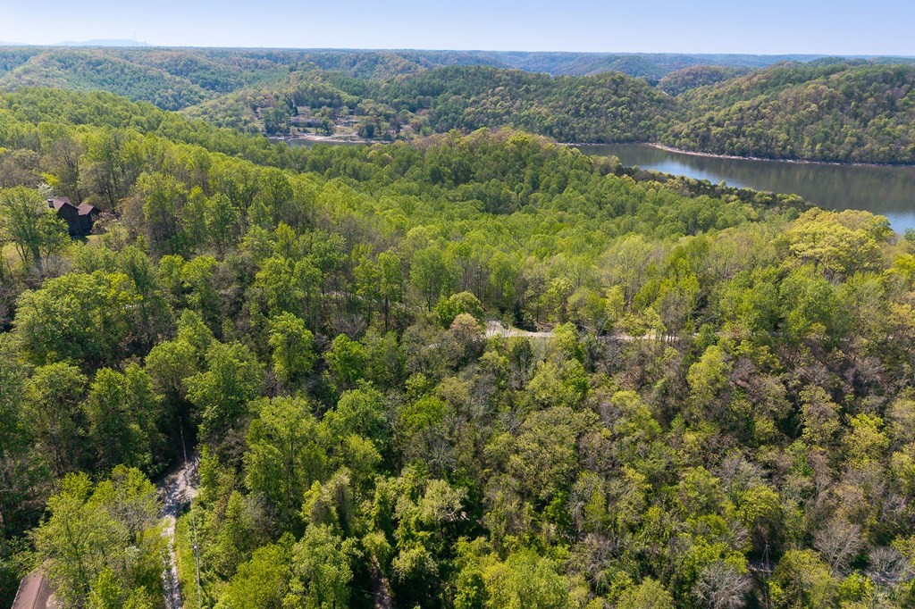 588 Austin Bottom Road Baxter, TN 38544 - Photo 9 of 15 Gallery Image 9