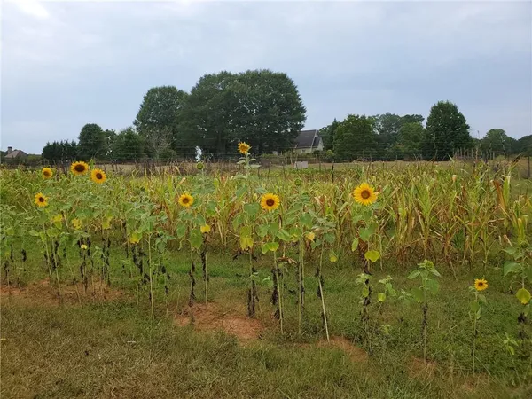 $1,275,000 | 442 Buffalo Creek Road, Carrollton, GA 30117