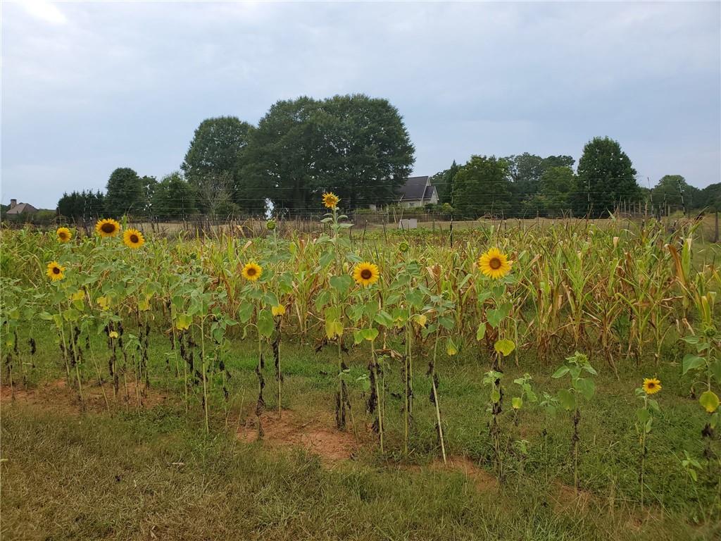 442 Buffalo Creek Road Carrollton, GA 30117 - Photo 37 of 39 a view of swimming pool and outdoor space