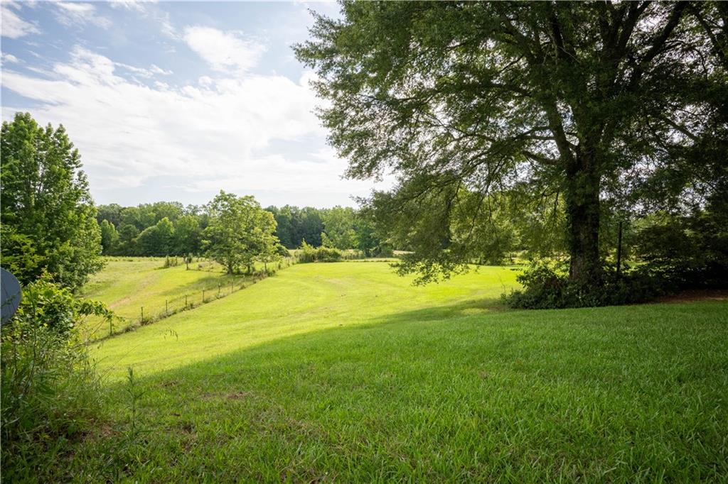 442 Buffalo Creek Road Carrollton, GA 30117 - Photo 38 of 39 a view of a trees with a yard