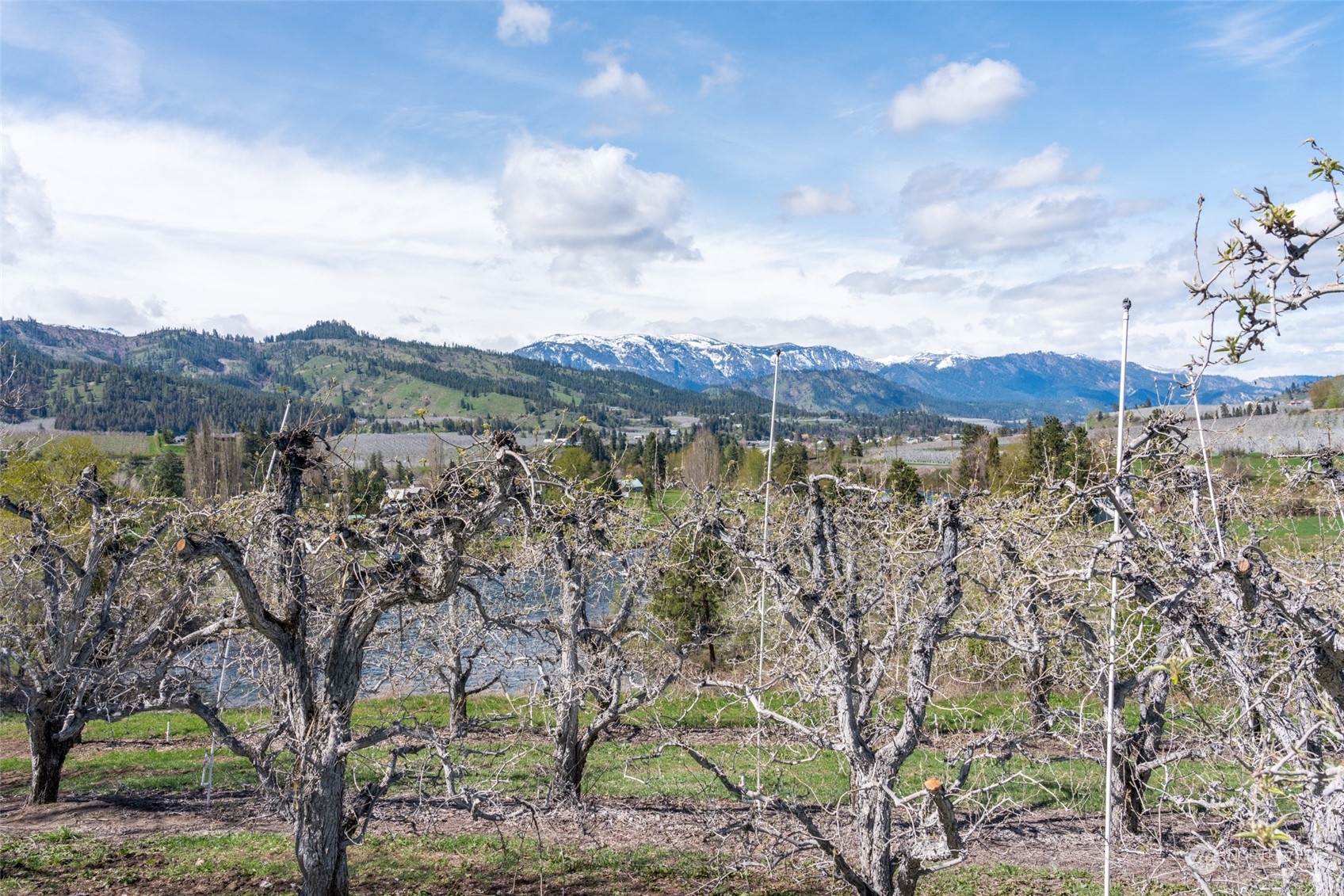 7448 Stine Hill Road Cashmere, WA 98815 - Photo 13 of 34 Gallery Image 13