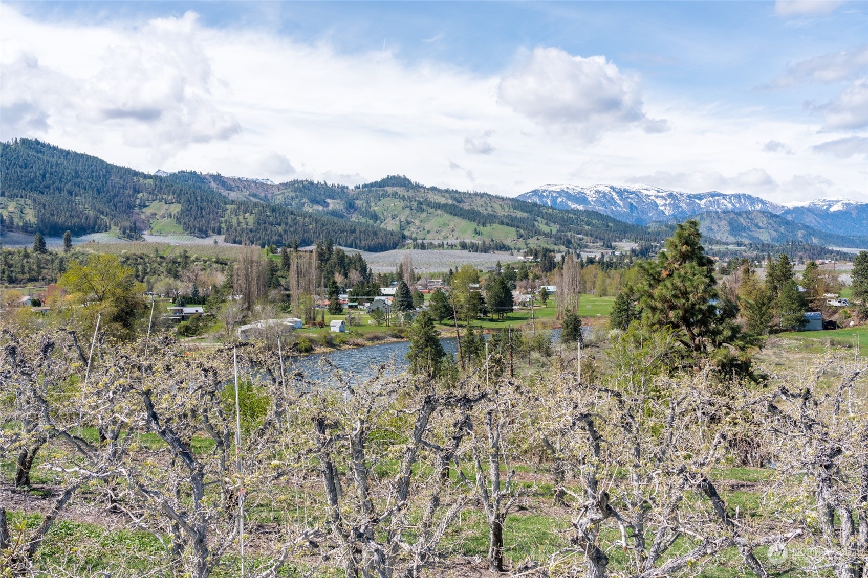 7448 Stine Hill Road Cashmere, WA 98815 - Photo 16 of 34 Gallery Image 16