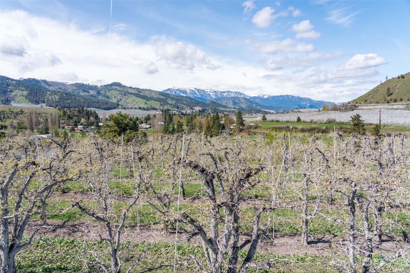 7448 Stine Hill Road Cashmere, WA 98815 - Photo 21 of 34 Gallery Image 21
