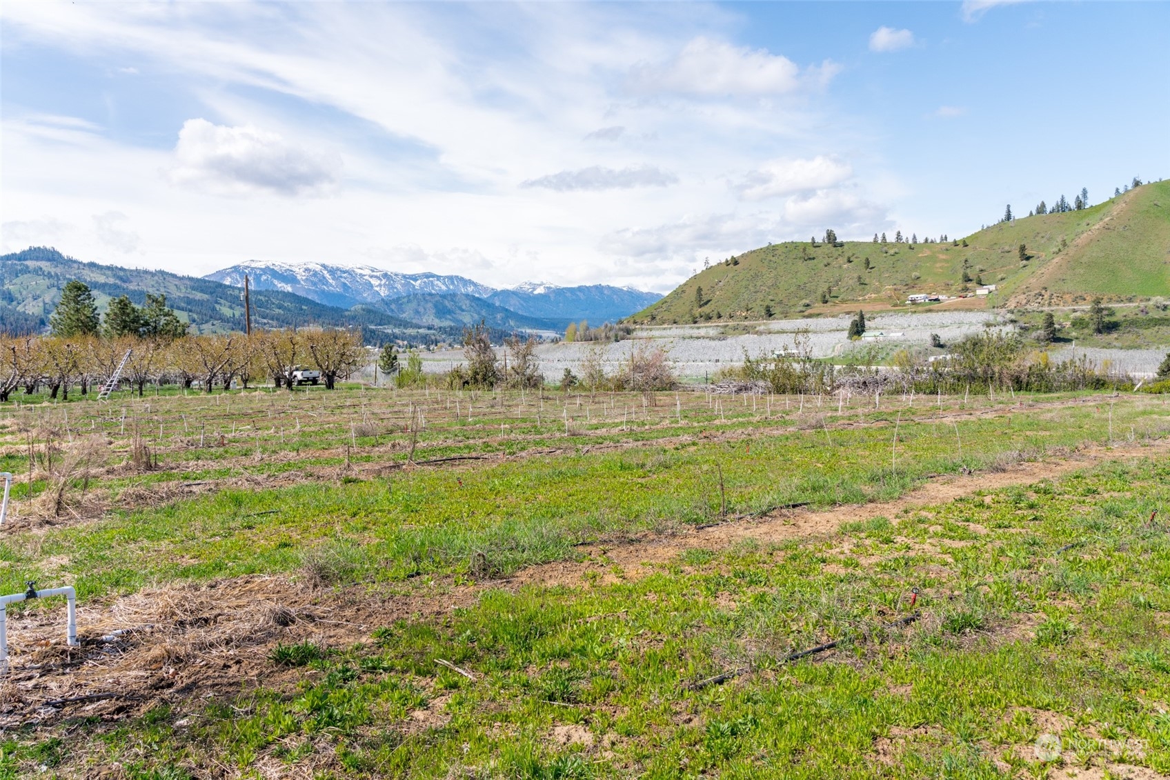 7448 Stine Hill Road Cashmere, WA 98815 - Photo 33 of 34 Gallery Image 33