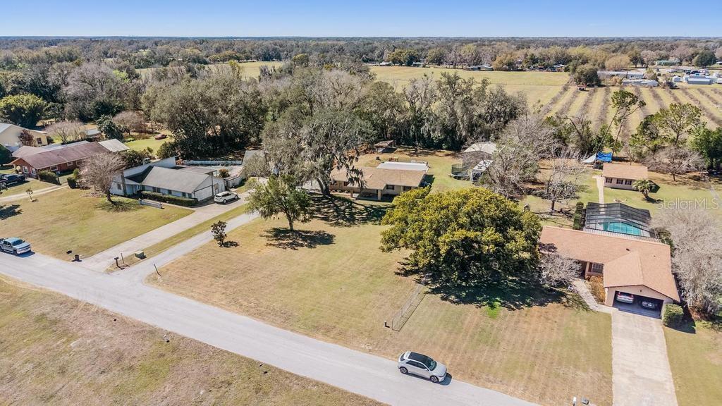 3835 Florida Ranch Boulevard Zephyrhills, FL 33541 - Photo 35 of 47