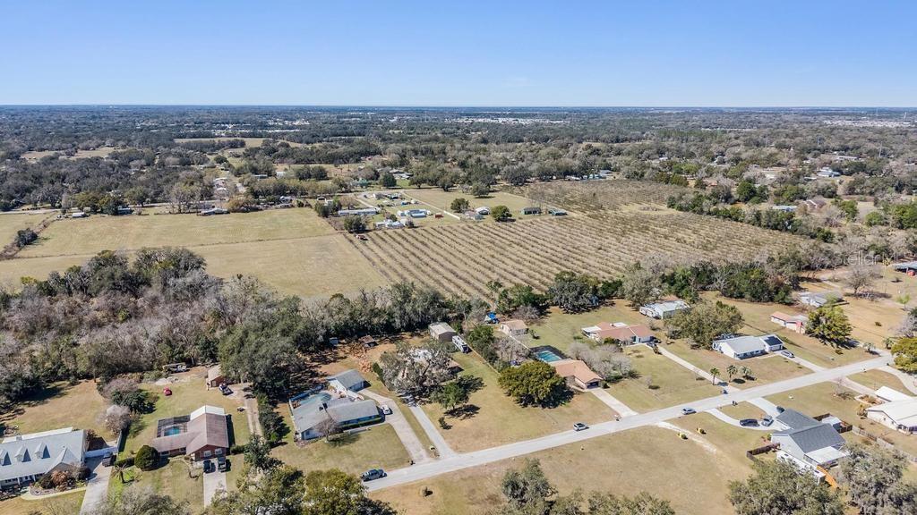 3835 Florida Ranch Boulevard Zephyrhills, FL 33541 - Photo 38 of 47