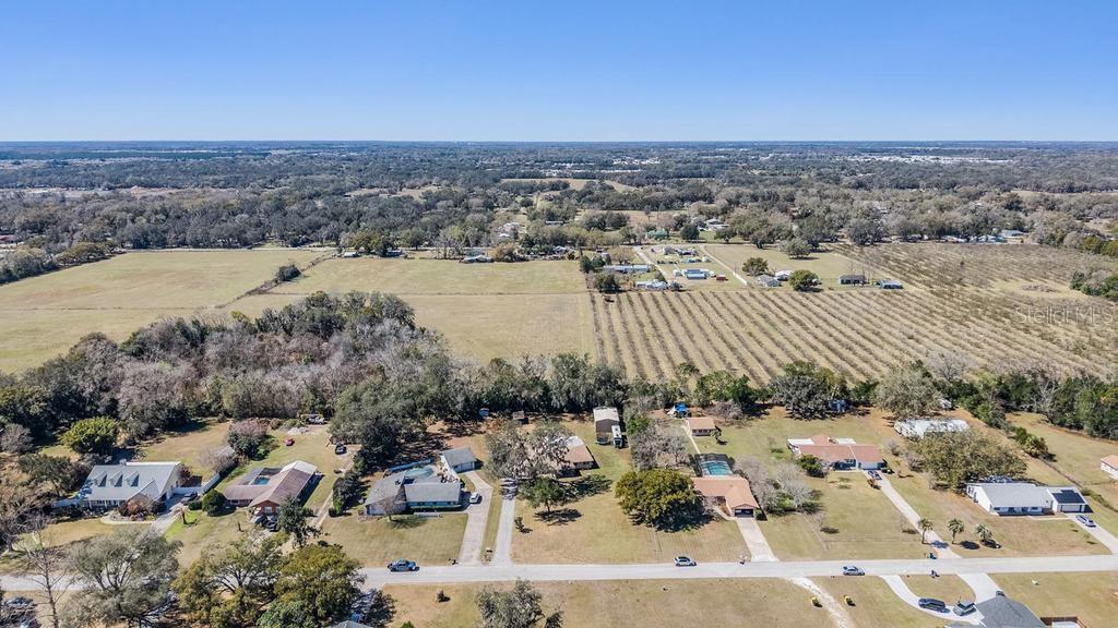 3835 Florida Ranch Boulevard Zephyrhills, FL 33541 - Photo 39 of 47