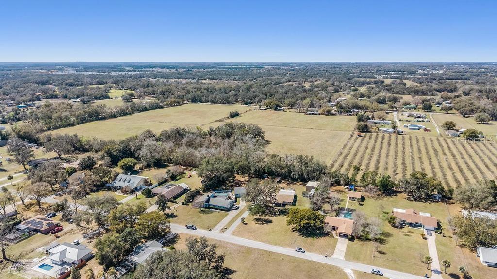3835 Florida Ranch Boulevard Zephyrhills, FL 33541 - Photo 40 of 47