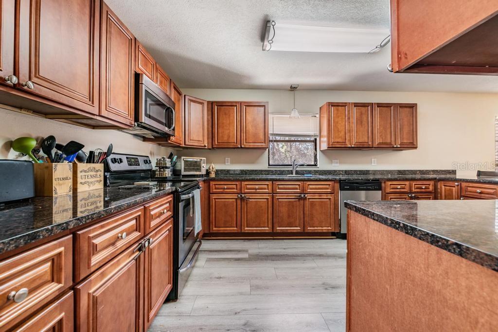 3835 Florida Ranch Boulevard Zephyrhills, FL 33541 - Photo 7 of 47