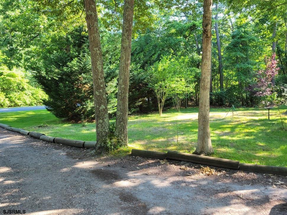 439 Chestnut Neck Road Port Republic, NJ 08241 - Photo 34 of 34